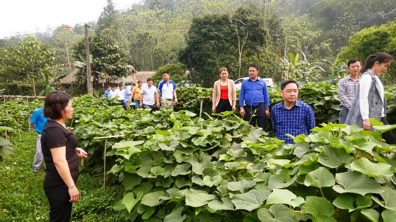 Lãnh đạo huyện thăm mô hình phát triển kinh tế, dịch vụ tại xã Xuân Giang